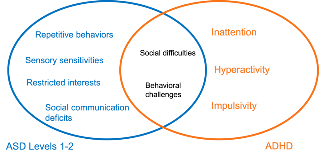 ASD (level 1-2) vs. ADHD